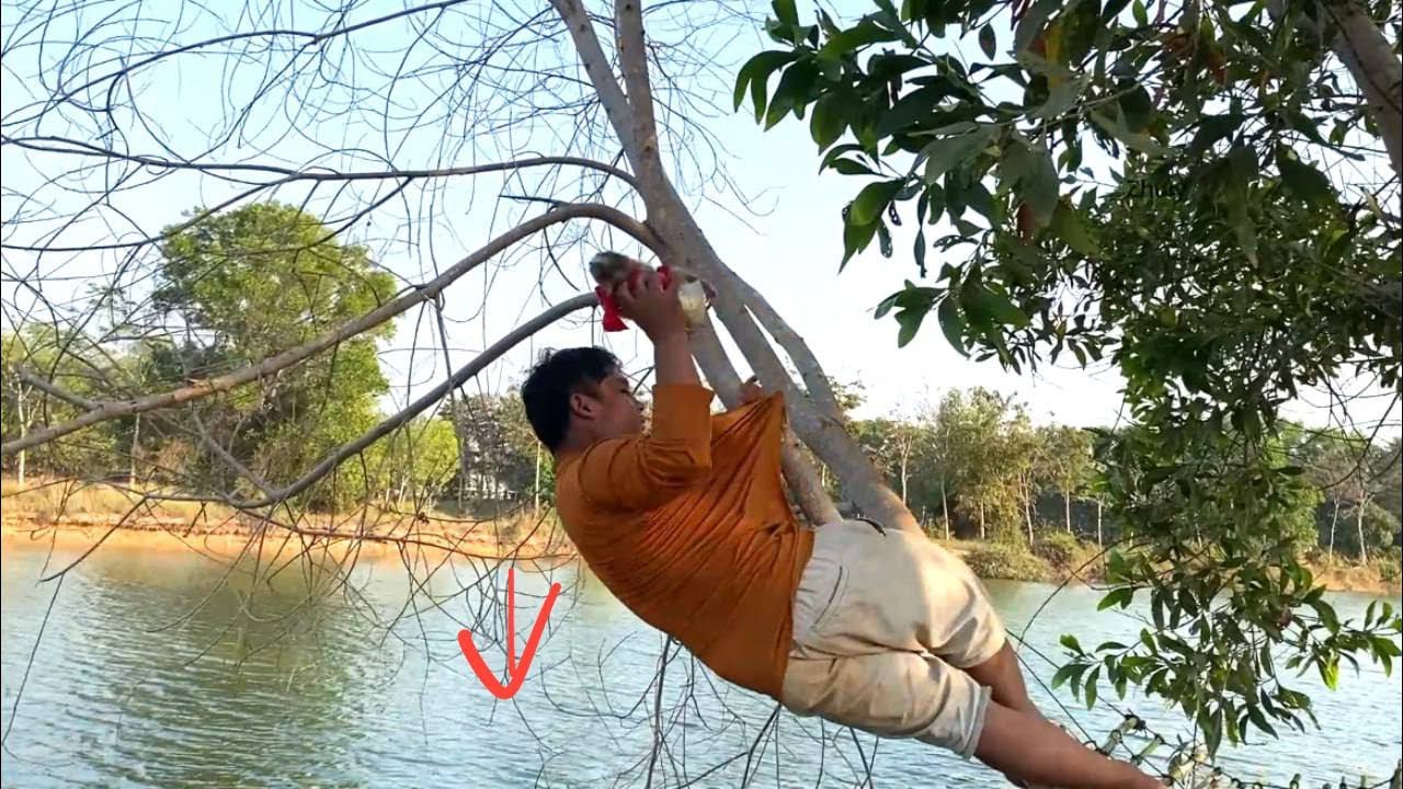 Mnkey Zhuly & Dad With Biq Happeninq When Play At Tree