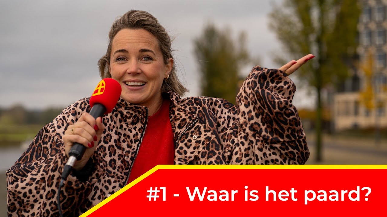 Waar is het paard van Sinterklaas? | #1 Sinterklaasintocht Doesburg 2025