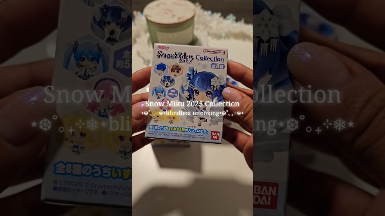 Winter Miku 2025 Collection 