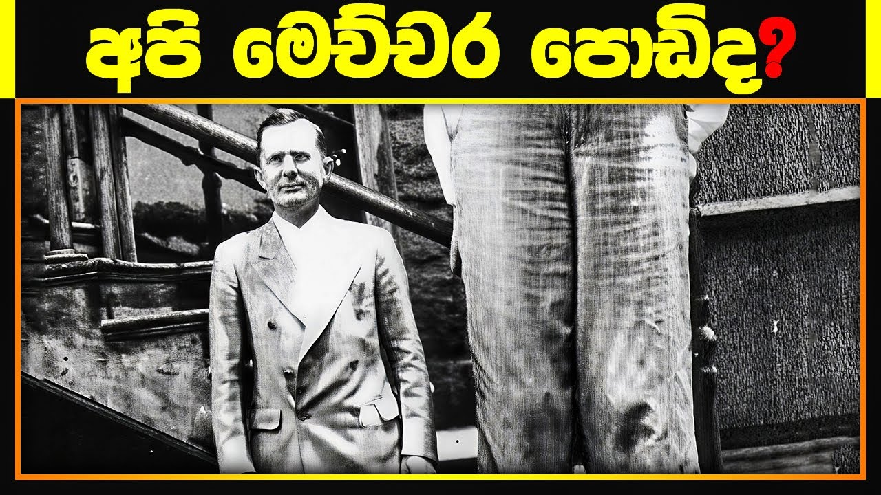 මරණයට අත වනපු ලෝකයේ උසම මිනිසුන්! | Top 10 Tallest People Ever