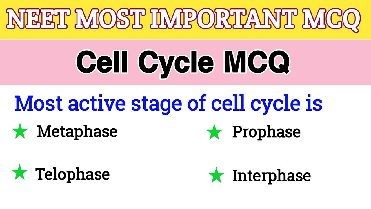 Cell Cycle MCQ for NEET 2026 || NEET Biology Questions Answers || Cell division MCQ - Part 2