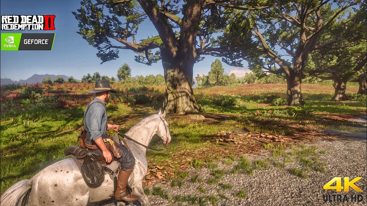 Realistic Graphics🔥Ultimate #reddeadredemtion2 #rdr2 #reddeadcommunity #arthurmorgan #johnmarston