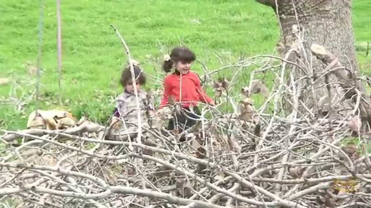 Hasan Zerak : حەسەن زیرەک : قوربانتبم ئەی بای شەوێ