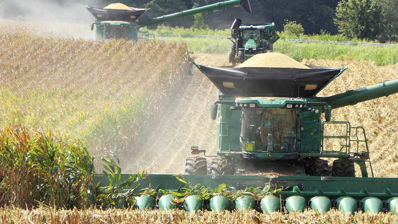 KENTUCKY CORN HARVEST 2025 with 3x John Deere X9 1000 Combines and 16-Row Corn Headers | BIG Harvest