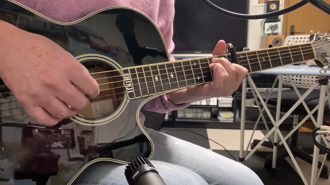 中島みゆき 'りばいばる ' 弾き語り (cover)