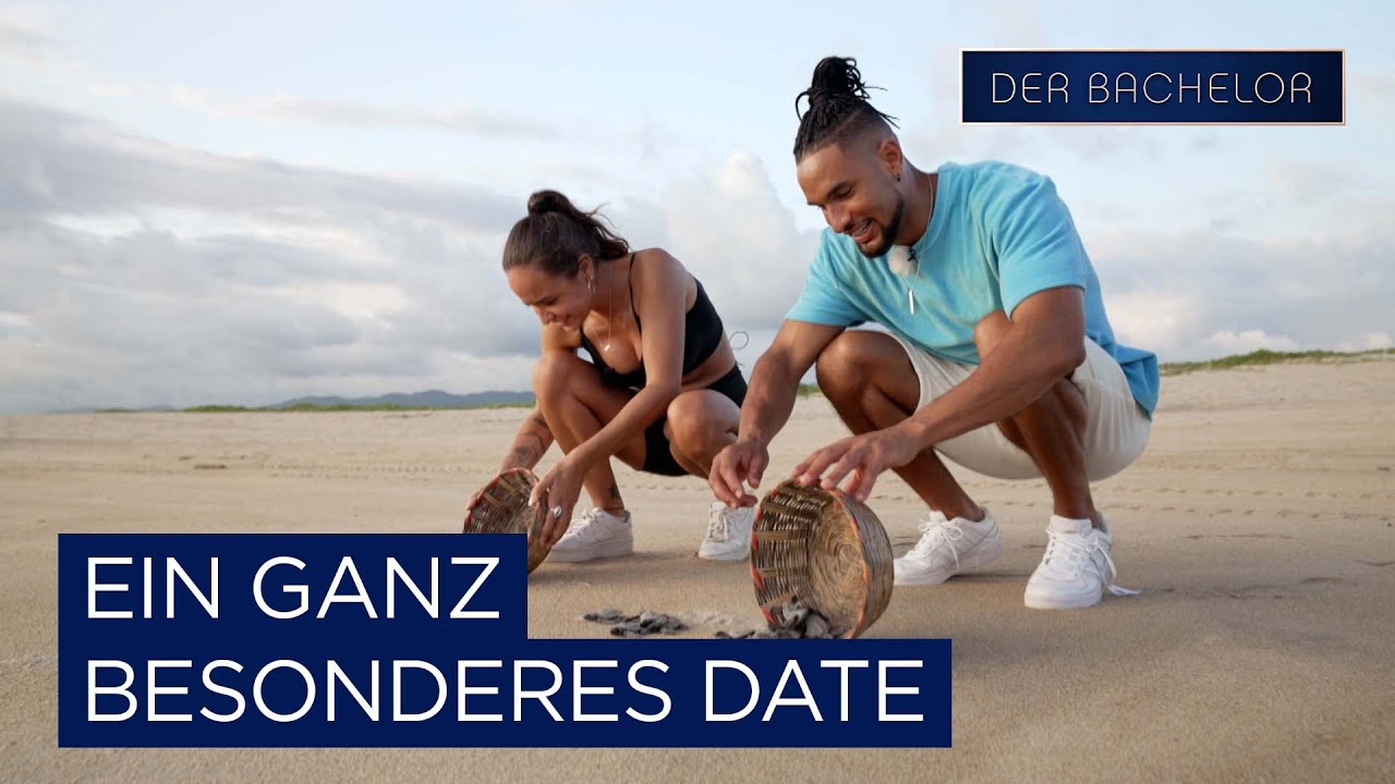 David und Angelina erleben ein ganz besonderes Date 🐢 | Der Bachelor