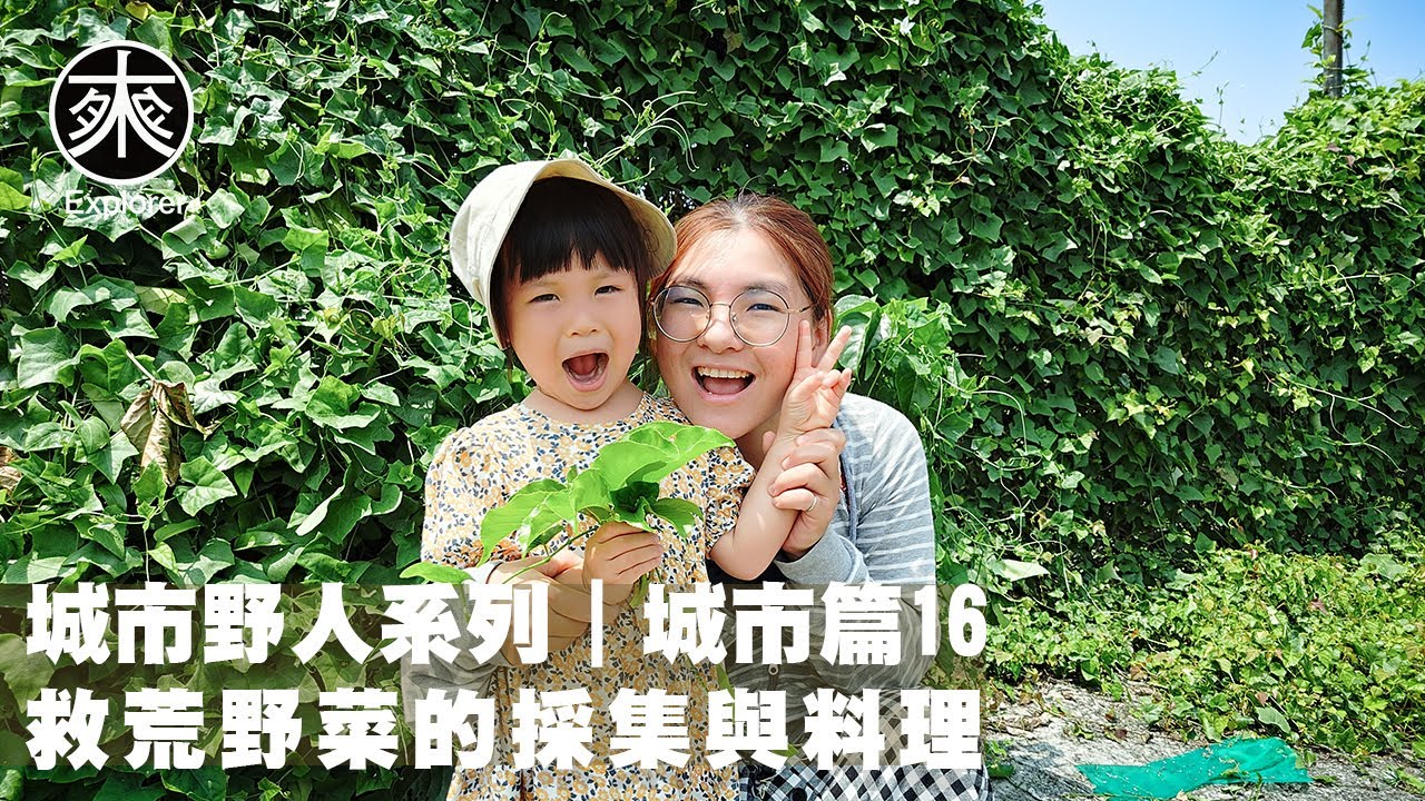 台灣野菜採集與料理16，雷公根、白茅、梔子花、忍冬、雞屎藤、紅瓜(鳳鬚菜)、鏽毛蛇葡萄、構樹果、橙花破布子，探路者城市野人｜救荒野菜採集-城市篇第16集