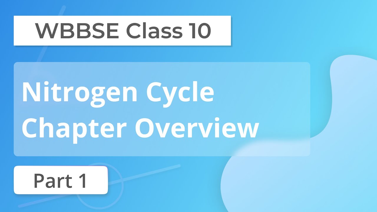 01 | Nitrogen cycle Class 10 | WBBSE class 10 Life Science Chapter 5.1| 😇😇