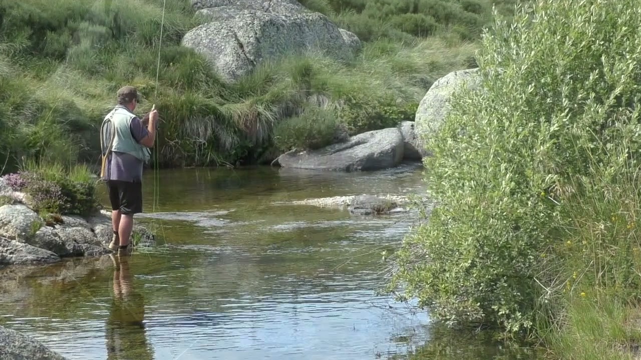 PS n° 64 : Pêche à la mouche aux sources du Tarn avec Rémi Vernier