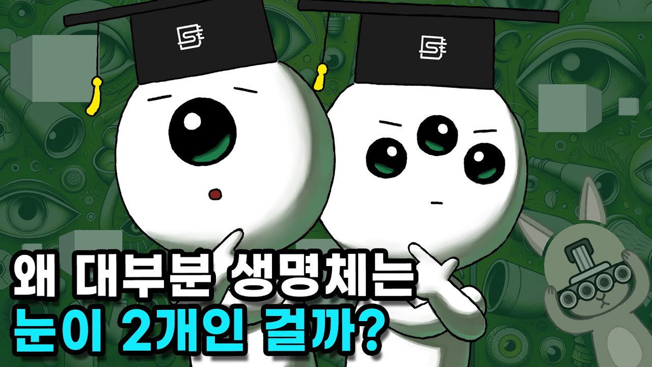 사람의 눈이 3~4개였다면 더 좋지 않았을까?