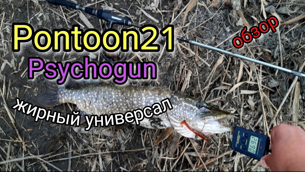 Pontoon21 Psychogun PGSS732MSF 7-24. Универсал, который мы заслужили.