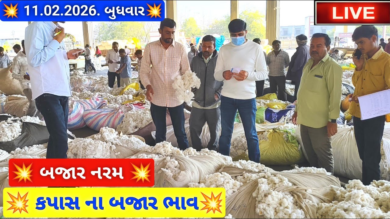 🔴live કપાસ ના બજાર ભાવ આજના જસદણ માર્કેટિંગ યાર્ડ, cotton auction price today,February 11, 2026