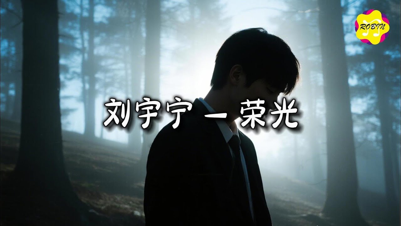 刘宇宁 - 荣光『只因总有人赶在前方 挡下风浪，当每一次不平凡 变得习以为常。』【动态歌词MV】