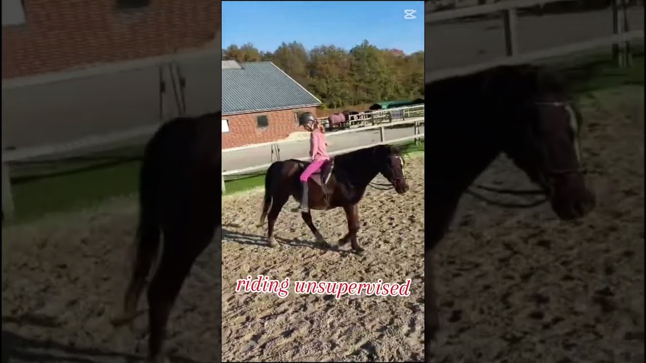 #horseriding