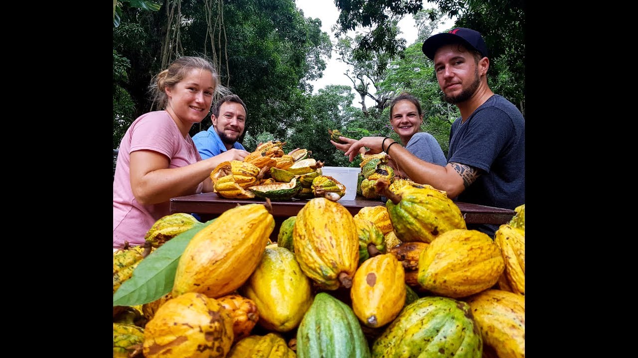 Our Big Trip - Volunteering in the Bolivian Amazon