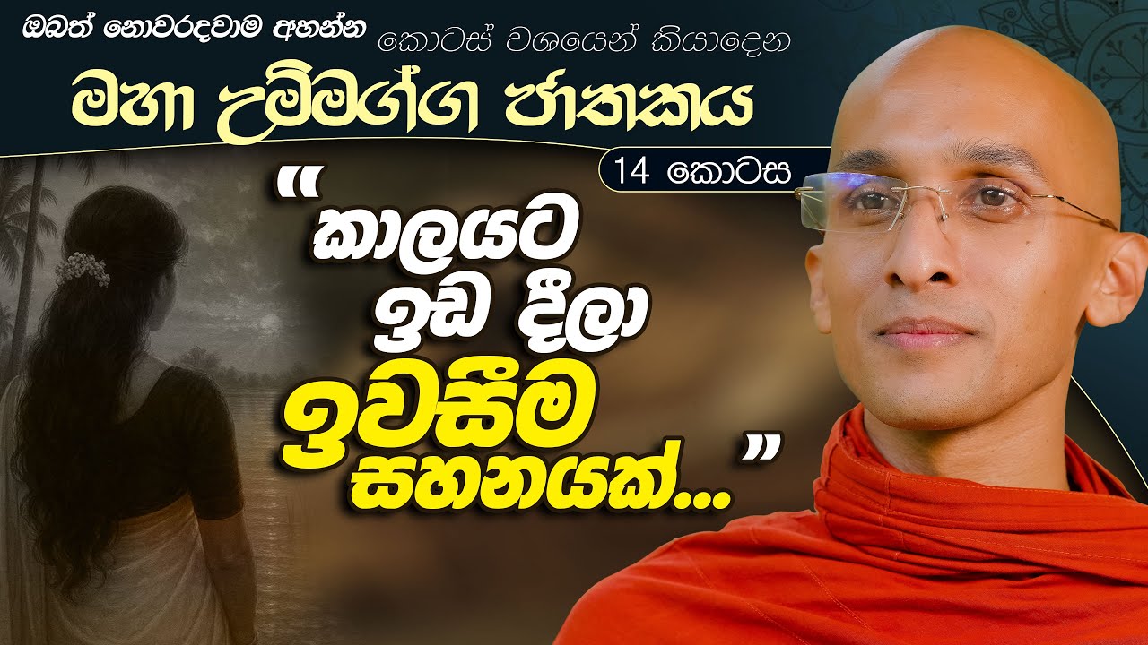 404. කාලයට ඉඩදීලා ඉවසීම සහනයක් | මහා උම්මග්ග ජාතකය 14 | 2024.07.18