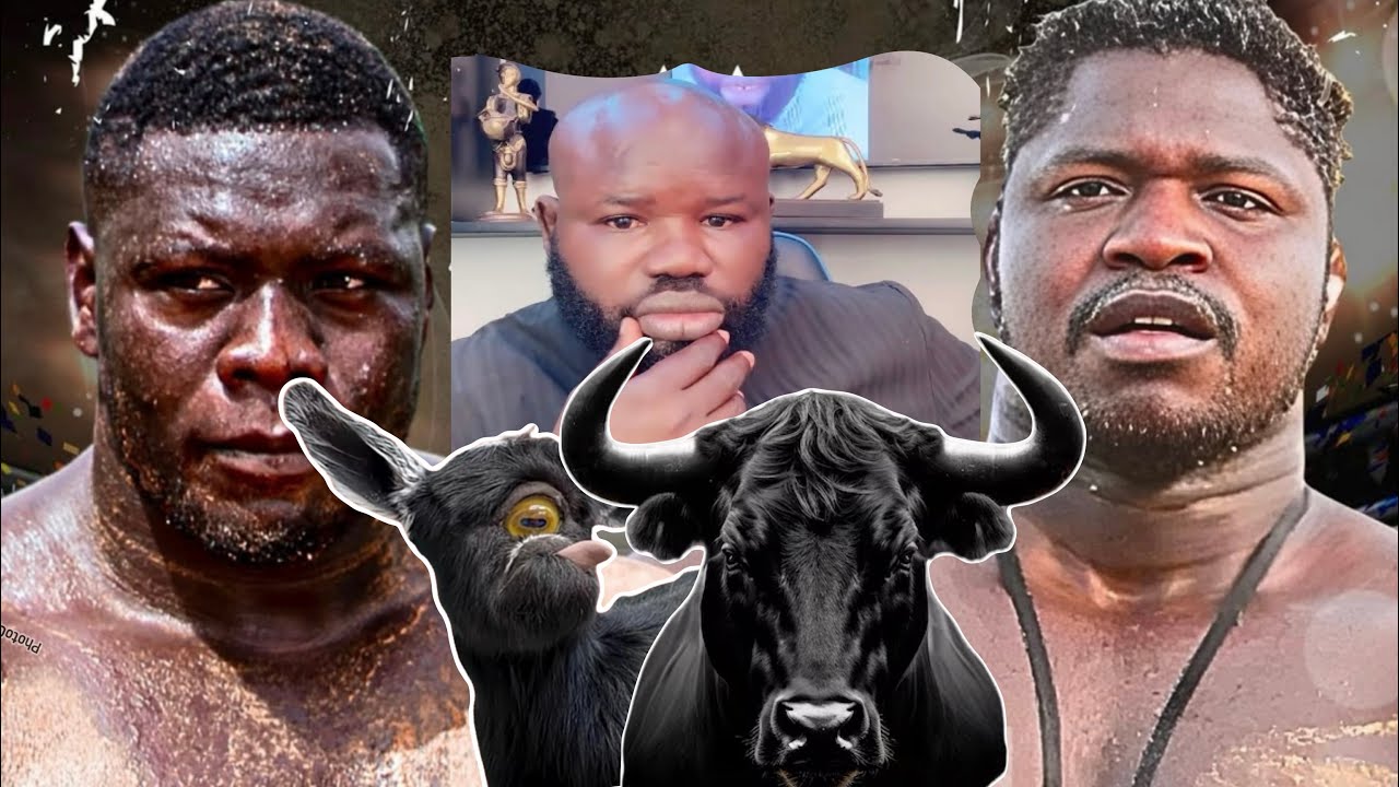 🔴Fadam 2 sur le combat tapha tine vs Franc guiss na Mystique Bou graw si bire stade Bii 😱😱😱😱