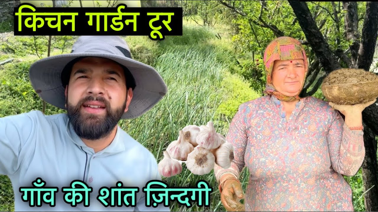 Kitchen garden tour || शहर की भागदौड़ से दूर गाँव की शांत ज़िंदगी || Pahadi lifestyle vlog|| RB 