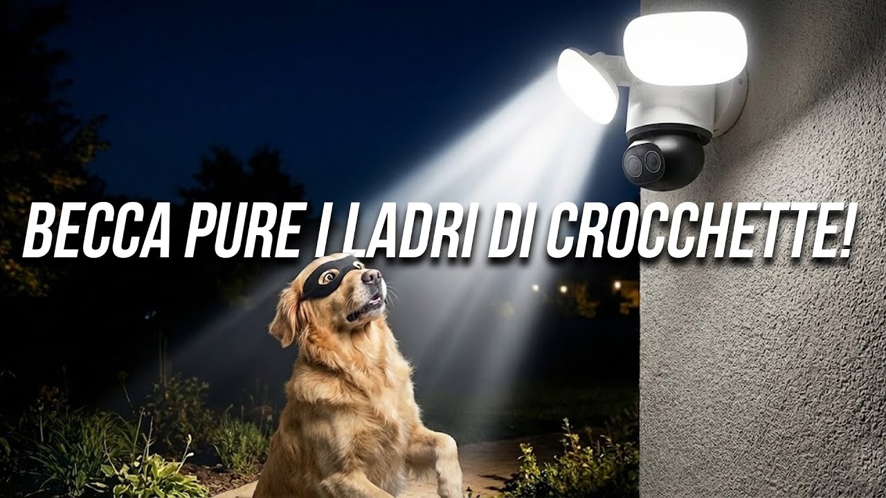 Doppia ottica, AI e NIENTE ABBONAMENTO - Reolink Trackflex Floodlight