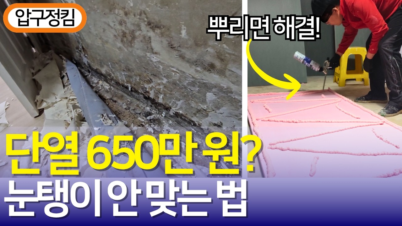 벽지 곰팡이 제거, 그냥 덮으면 돈 날립니다! 공사비 '650만 원' 아끼는 이보드 단열 시공의 정석 (결로/면작업) #곰팡이제거 #곰팡이 #단열시공 #단열공사 #셀프인테리어