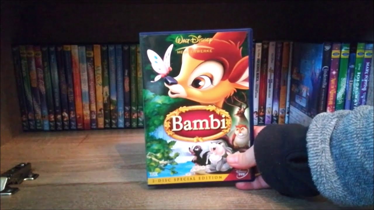 Meine DVD-Sammlung (mit Disney)