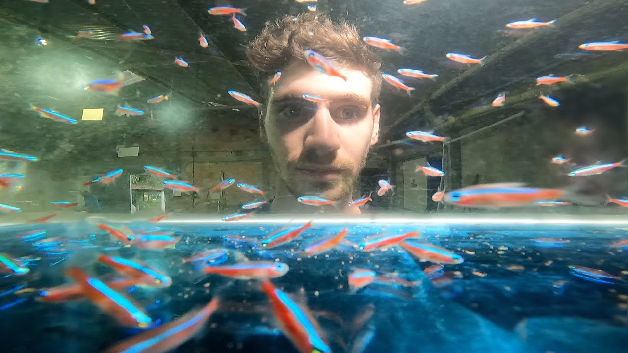 Millions of Fish... Inside Hidden Fish Farm!! (Tour)
