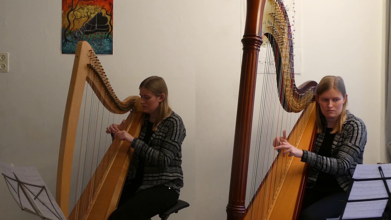 Philip Glass - Mishima Closing MVT VI - for harp