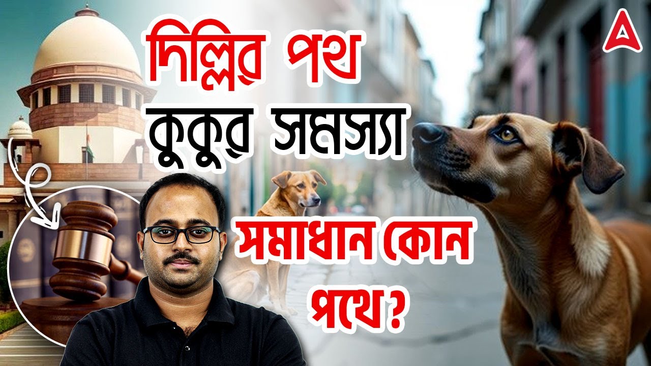 দিল্লির পথ কুকুর সমস্যা | সমাধান কোন পথে? | How To Resolve Street Dog Problems In Bengali