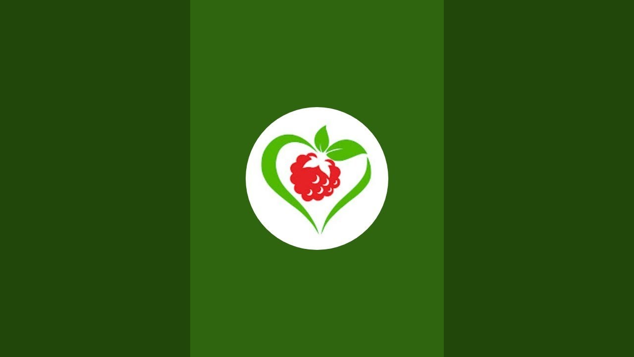 Cây và hạt giống Berry đang phát trực tiếp!