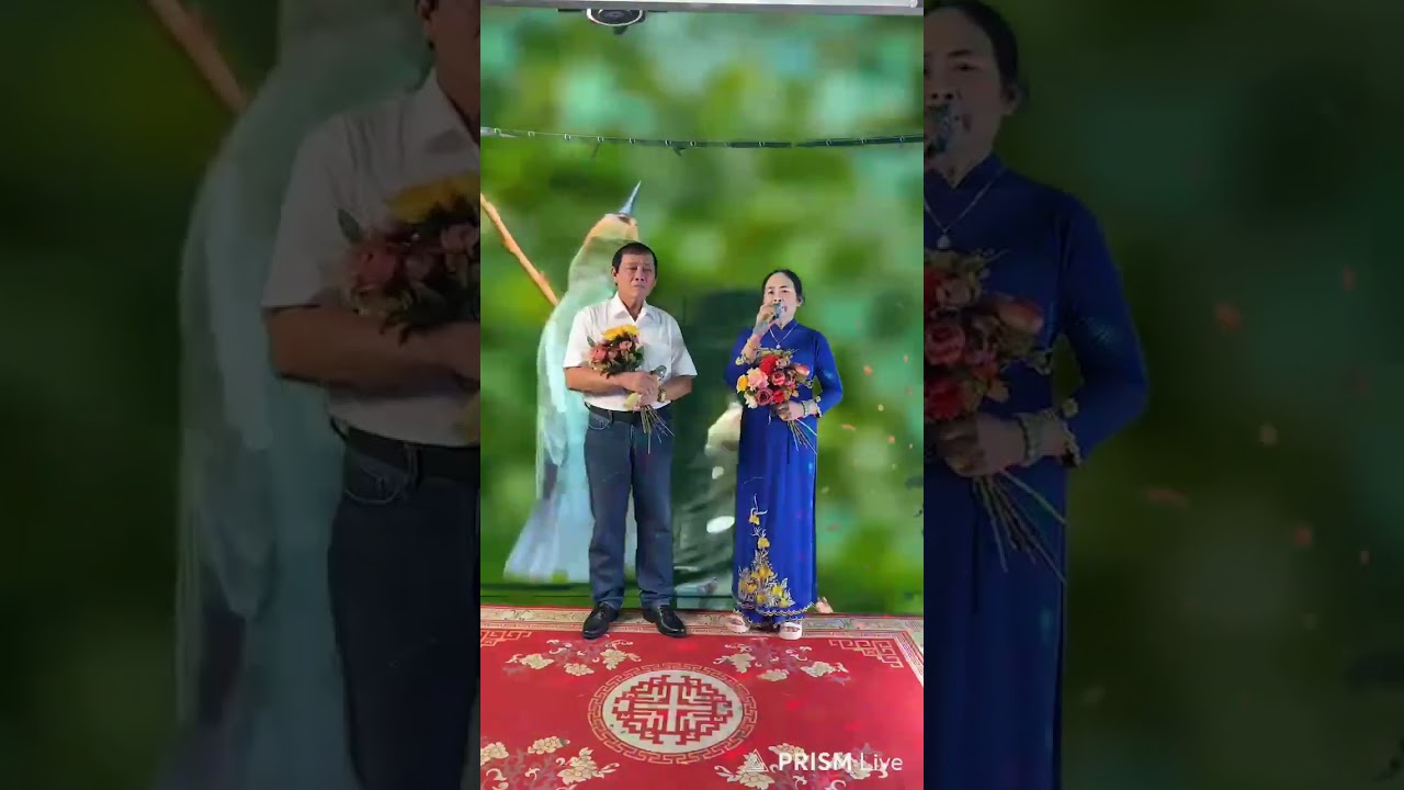 Tân cổ giao duyên trình bày hoàng mãi hồng thắm
