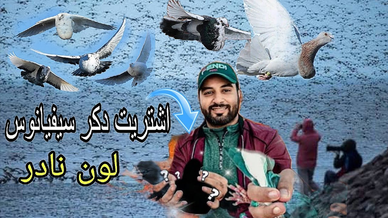 اشتريت دكر سيفيانوس لون رائع 😍🫡💯🕊️🔥