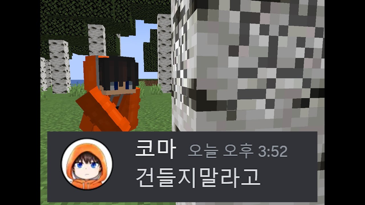 건들고 싶은 코마 디스코드 모음