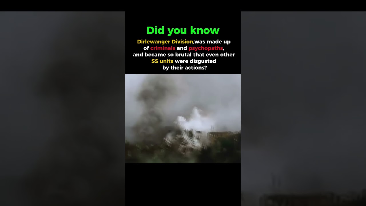 The Waffen-SS Unit Even Nazis Feared #historyshorts #ww2