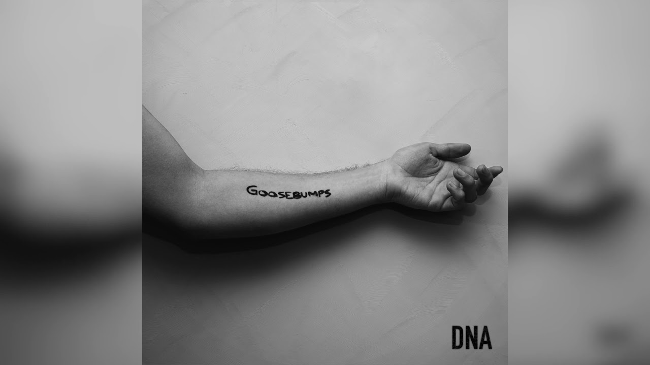 ROSS HARRIS /// GOOSEBUMPS - DNA