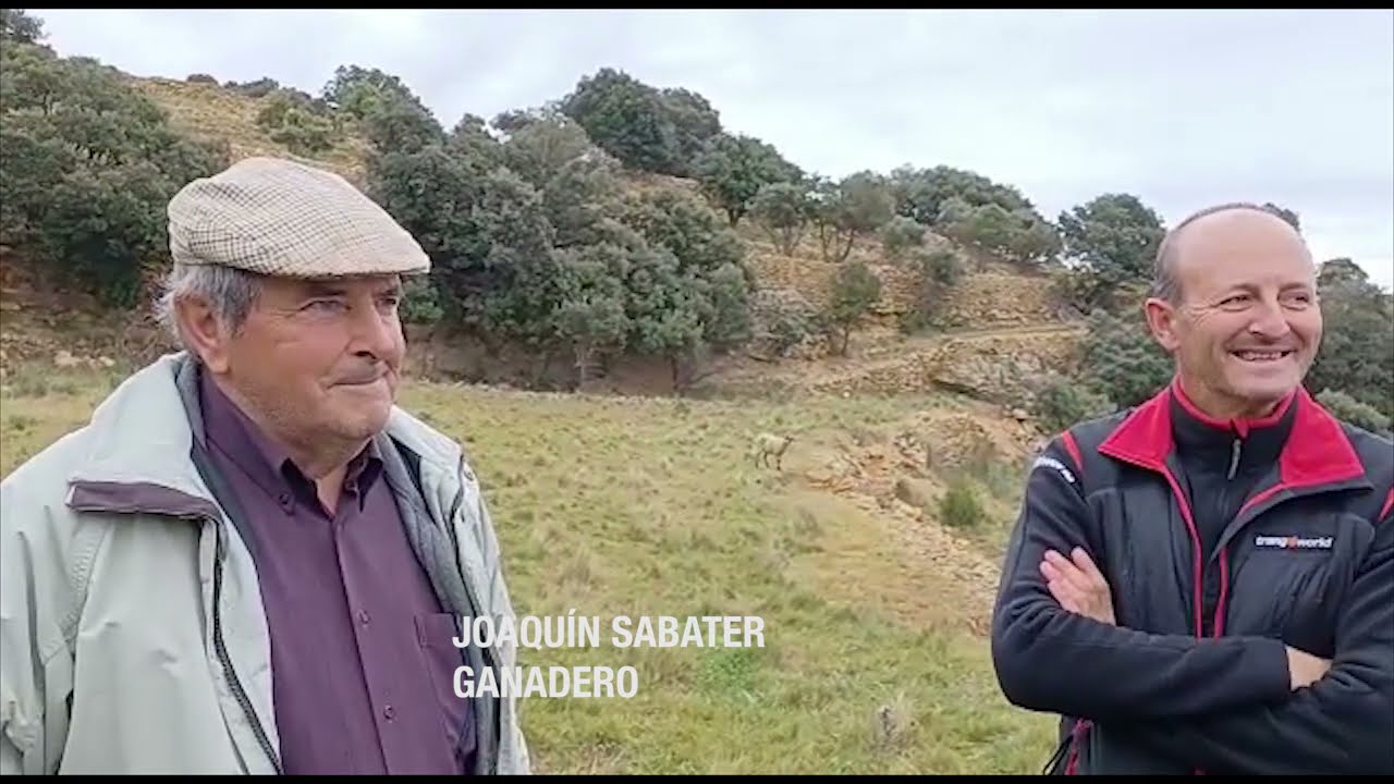 ELS PORTS-MAESTRAZGO. UNIENDO Y RECUPERANDO TERRITORIOS PERDIDOS #MontañasQuebrantahuesos. Jornada 2