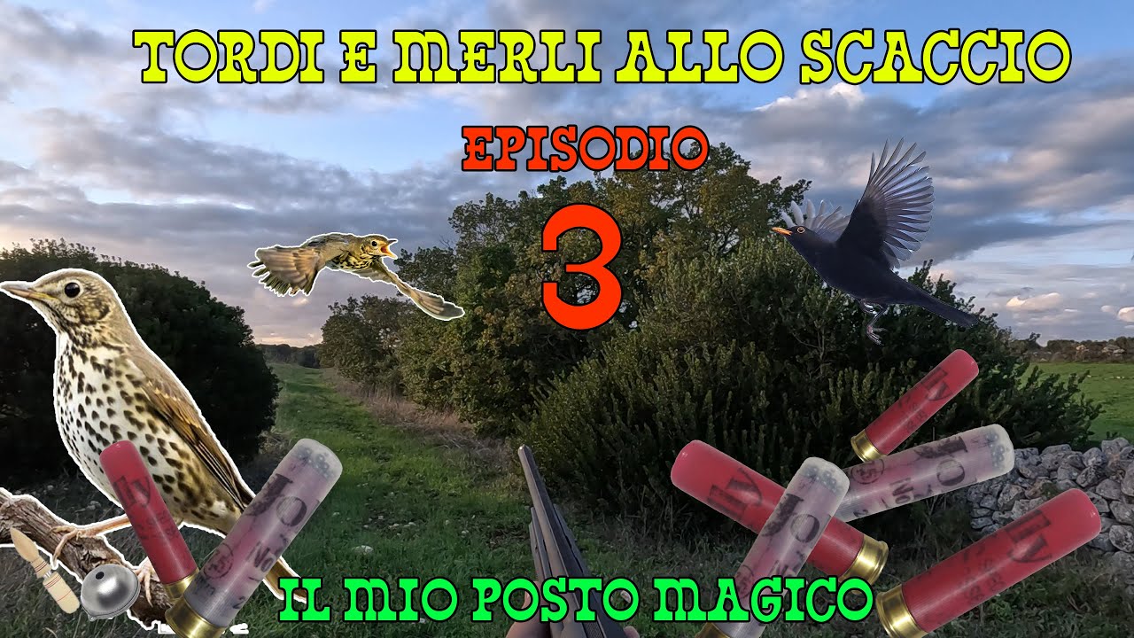TORDI e MERLI allo SCACCIO IN CALIBRO 28-EP. 3  *TANTISSIMI* 4K IL MIO POSTO MAGICO - CAZA ZORZALES