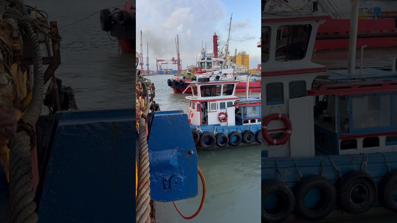 Dock Master #drydock #jackup #rigmove