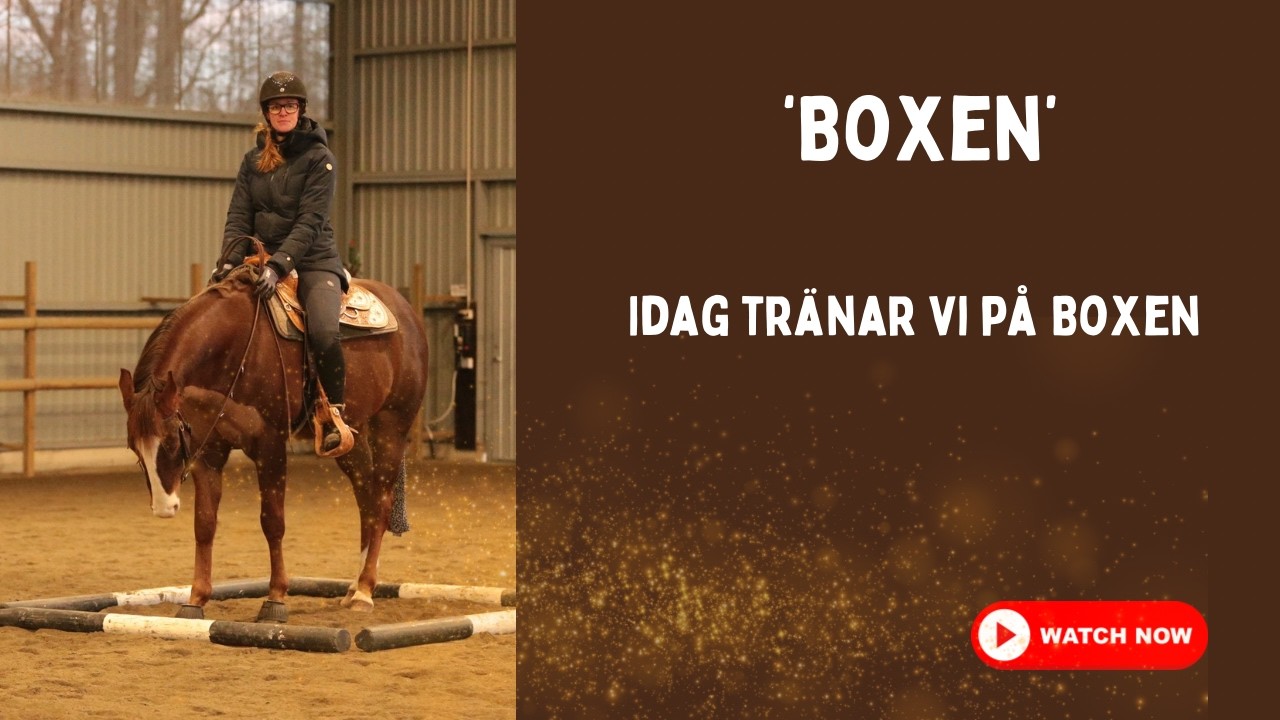 Idag rider vi Boxen🤎