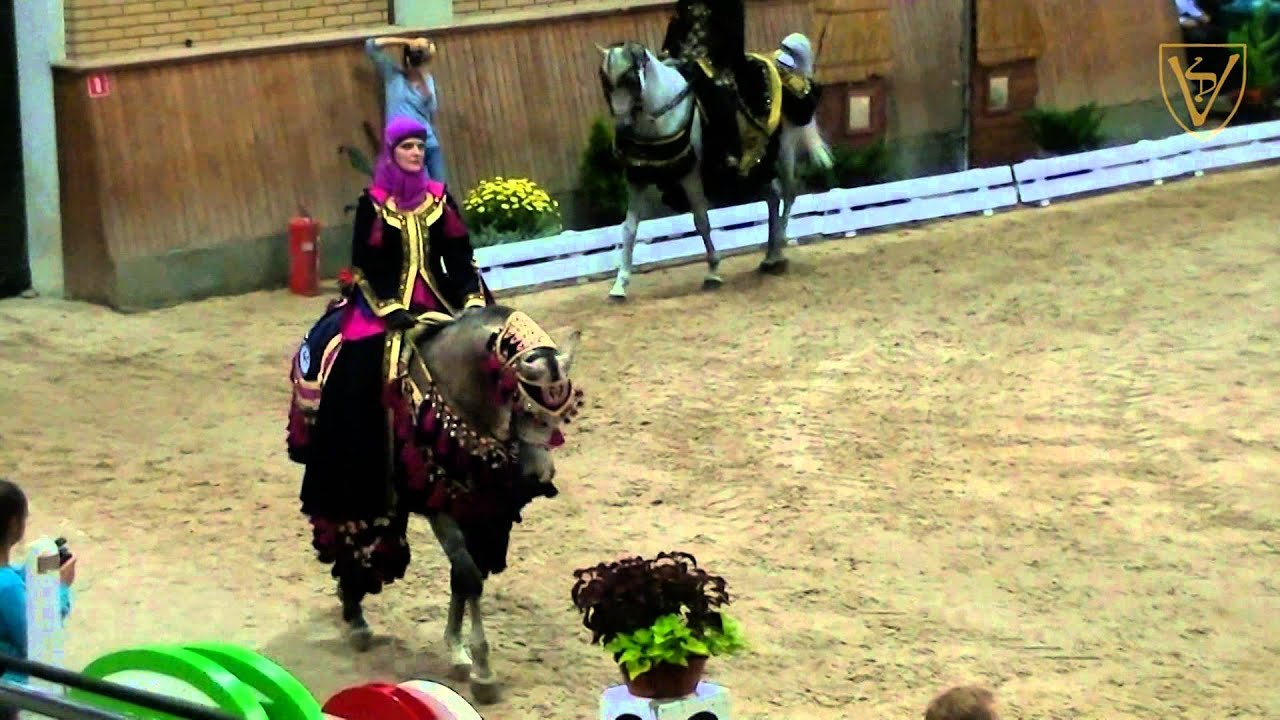 Krisco - arabian stallion