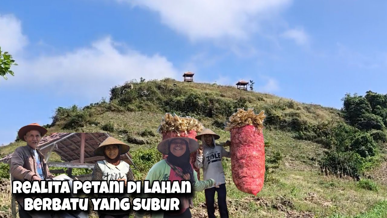 Di Balik Terjalnya Jalur Berbatu Tersimpan Lahan Subur Di Puncak Mundri Perbatasan Blora - Rembang