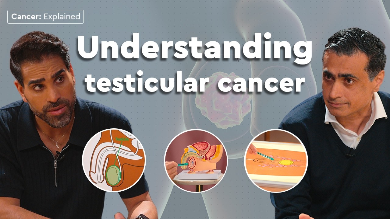 Testicular Cancer Explained: symptoms, stages and treatment
