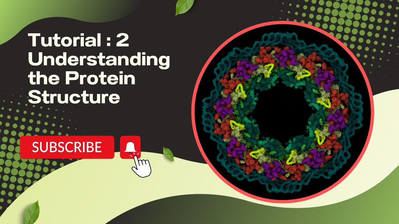Tutorial 2 - Understanding the Protein Structure