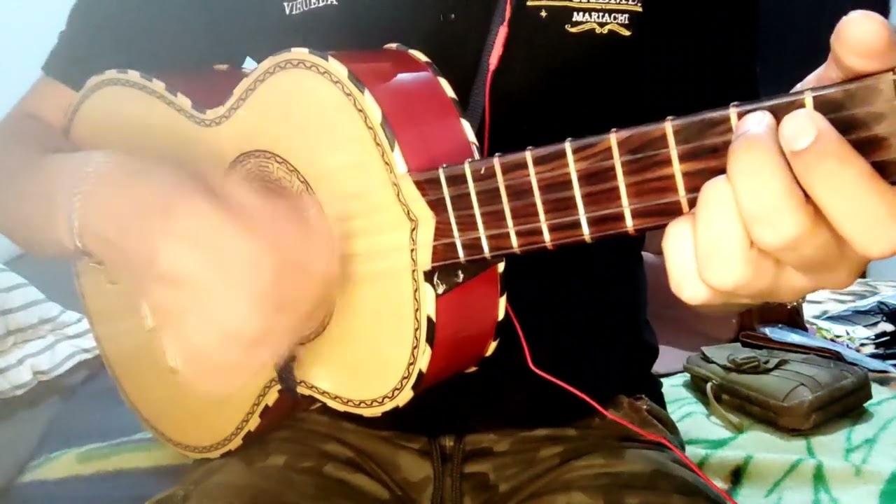 Cuando Calienta El Sol_Javier Solis_•Vihuela•