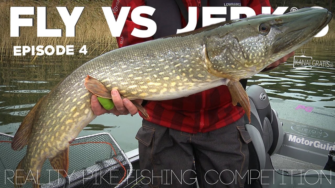Fly vs Jerk 8 - EPISODE 4 - Kanalgratis.se (with German, French & Dutch subtitles)