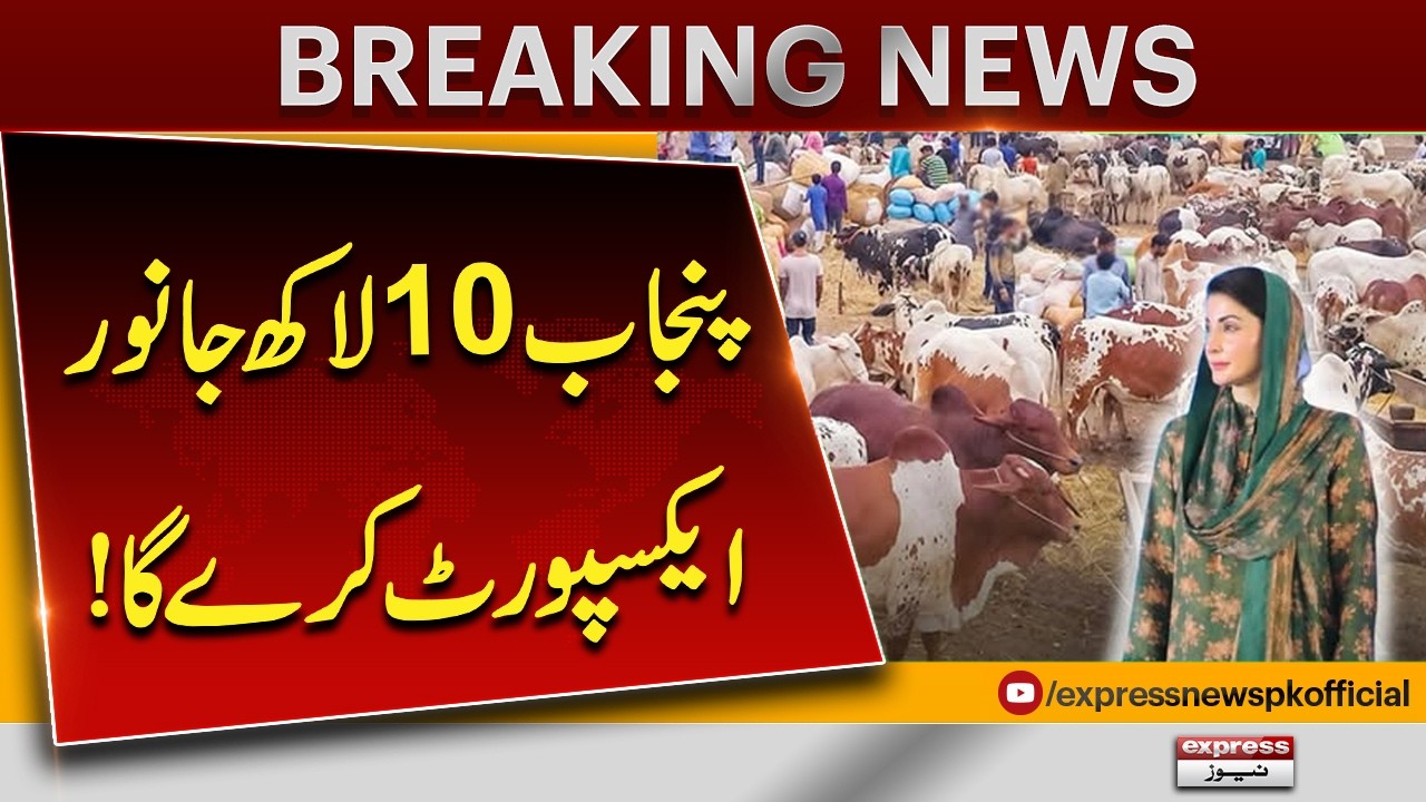Punjab to export 1 million livestock under new initiative: Maryam Nawaz| Pakistan News