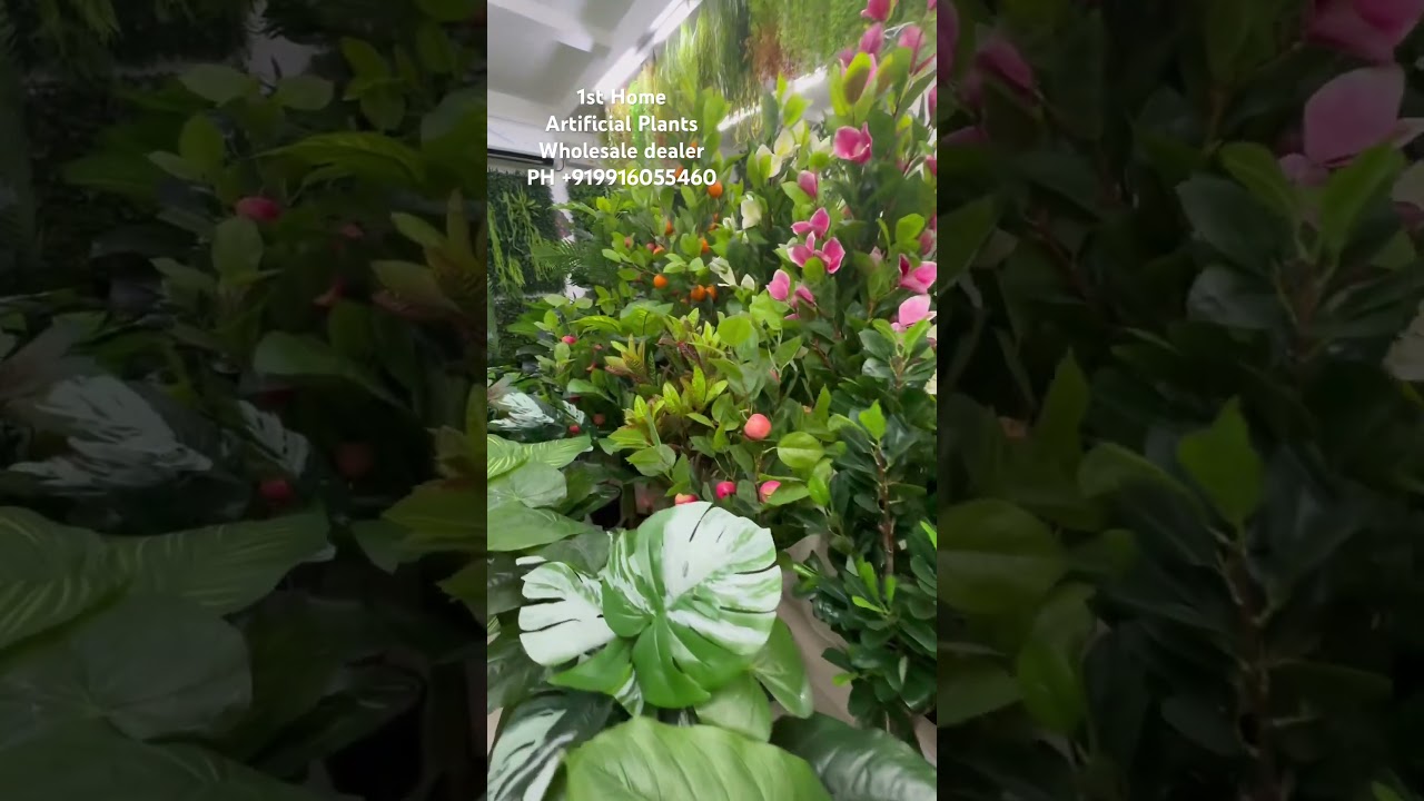 Artificial Plants Wholesale dealer PH +919916055460 #plants #artificialplantsupplier #gardening