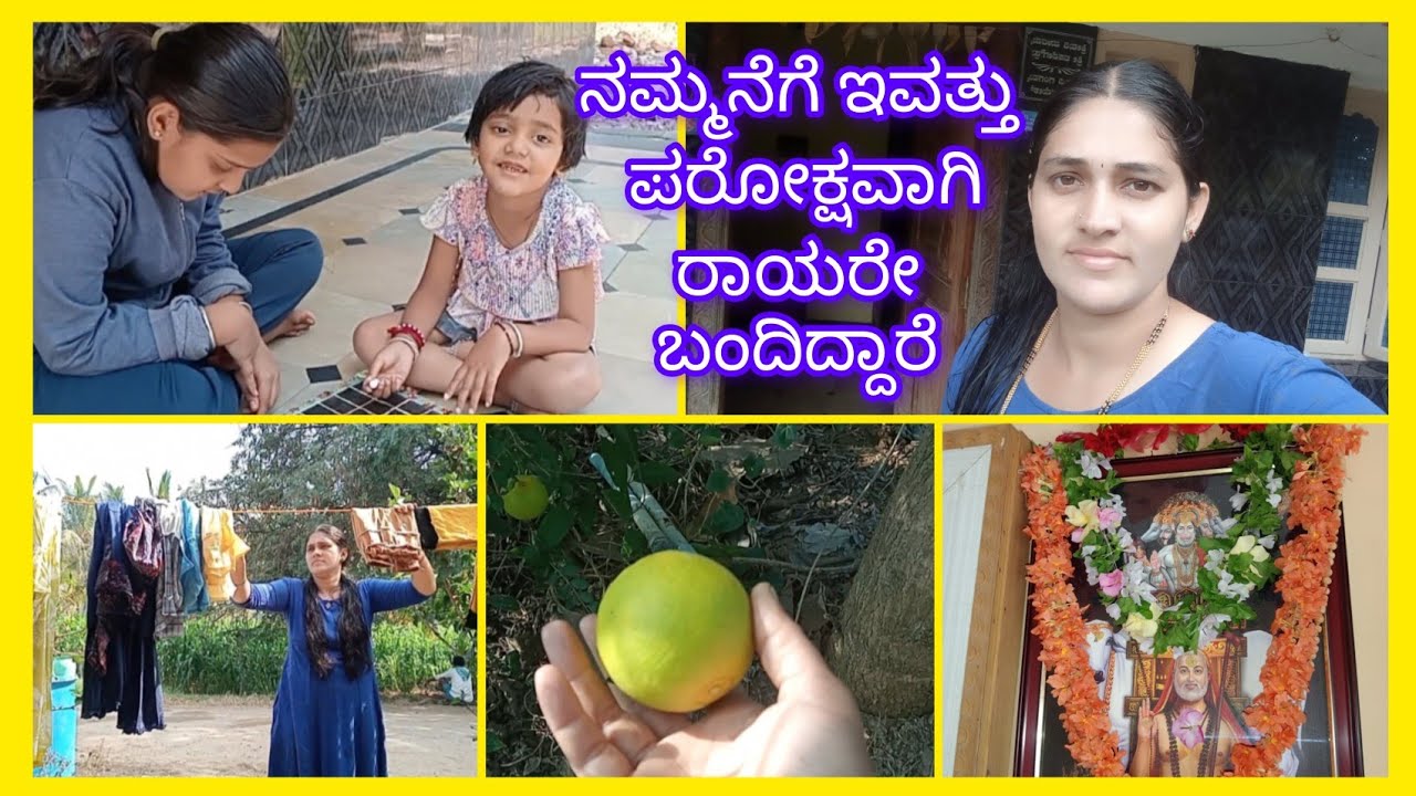 Village life, ನಮ್ಮ ತೋಟದಲ್ಲಿ ಮೋಸಂಬಿ ಹಣ್ಣುಗಳು ಹೇಗೆ ಬಿಟ್ಟಿದ್ದಾವೆ ನೋಡಿ.