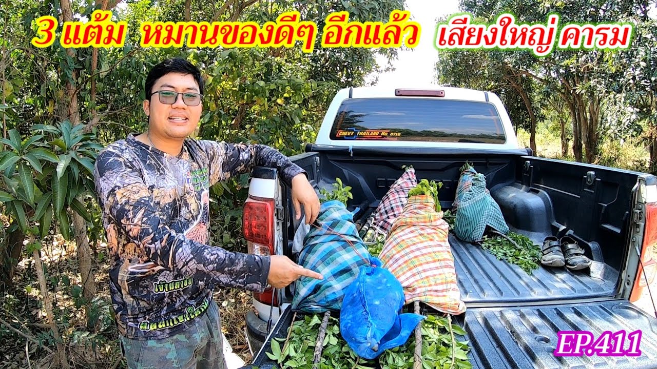 3 แต้ม หมานของดีๆ อีกแล้ว | เสียงใหญ่ คารม | EP.411
