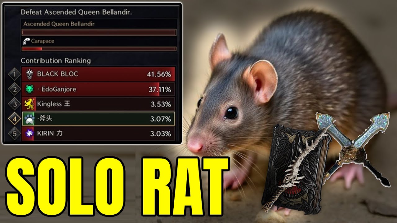 Darkblight Rat Moment: 3% Archboss, Solo Contribution vs Ally 😎