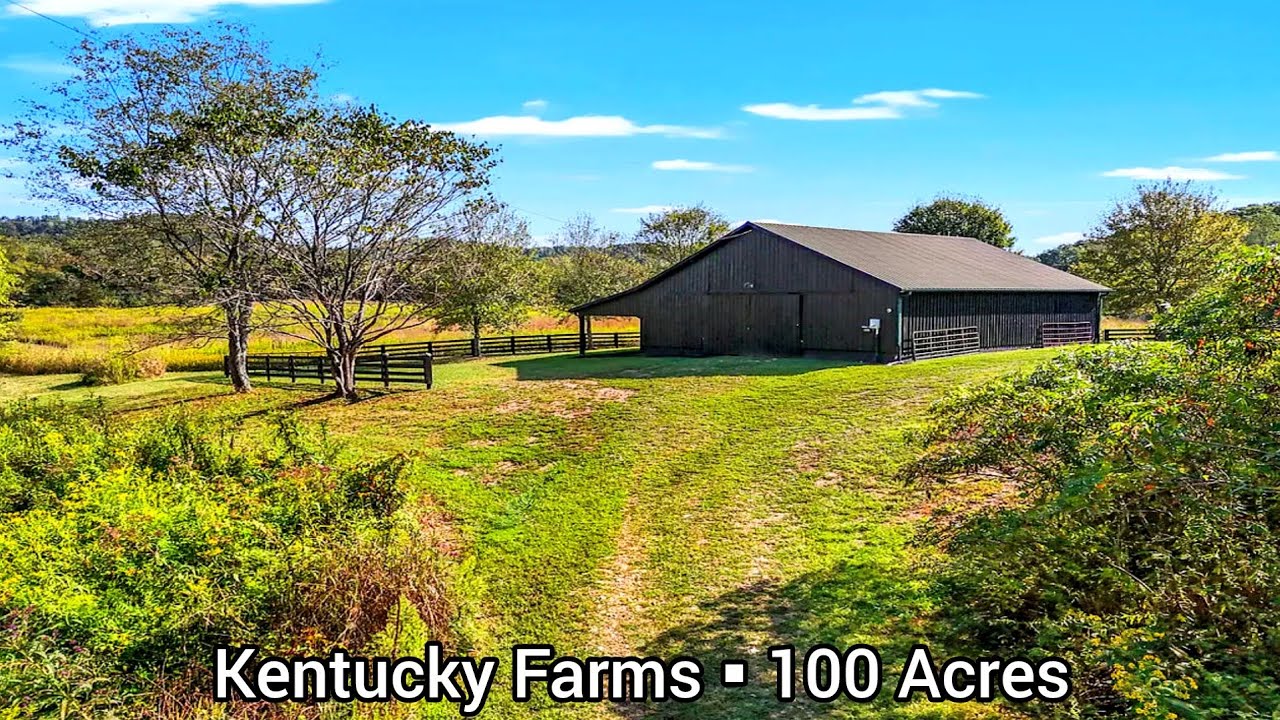 Kentucky Farms For Sale | 100 Acres | Kentucky Land For Sale | Kentucky Hunting Land Cabins3
